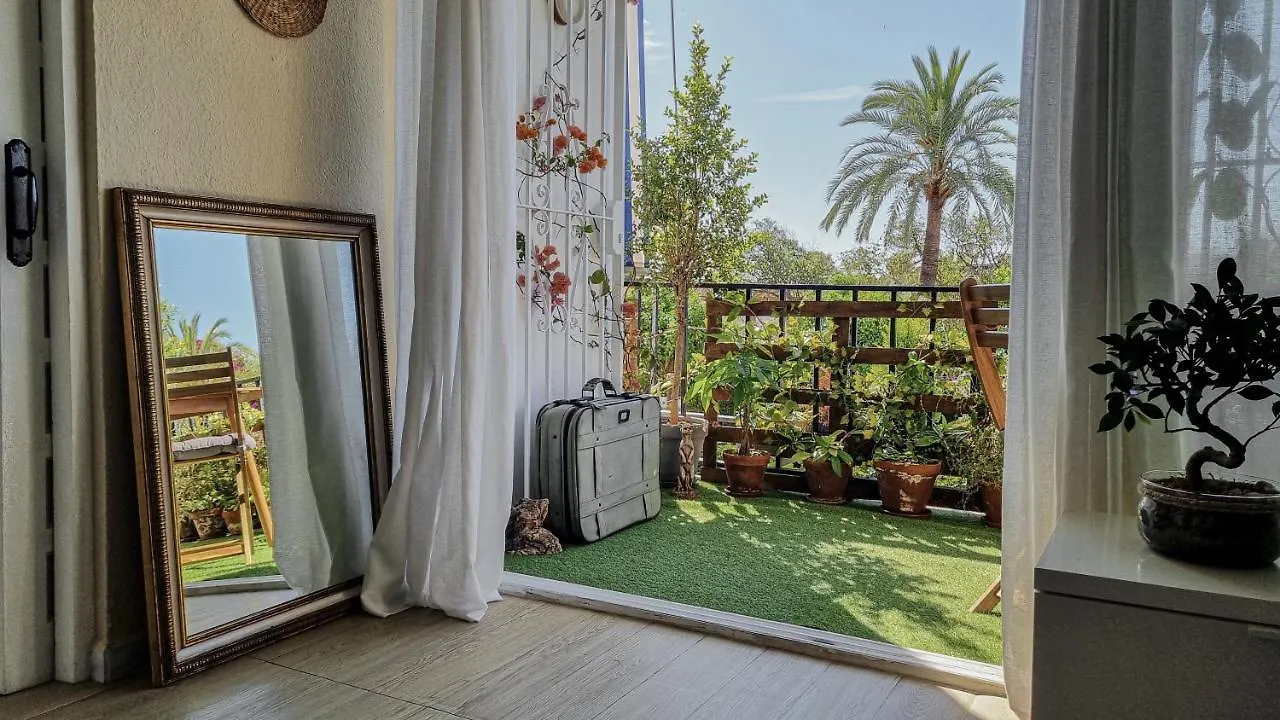 Apartmán Palm House Marbella Španělsko